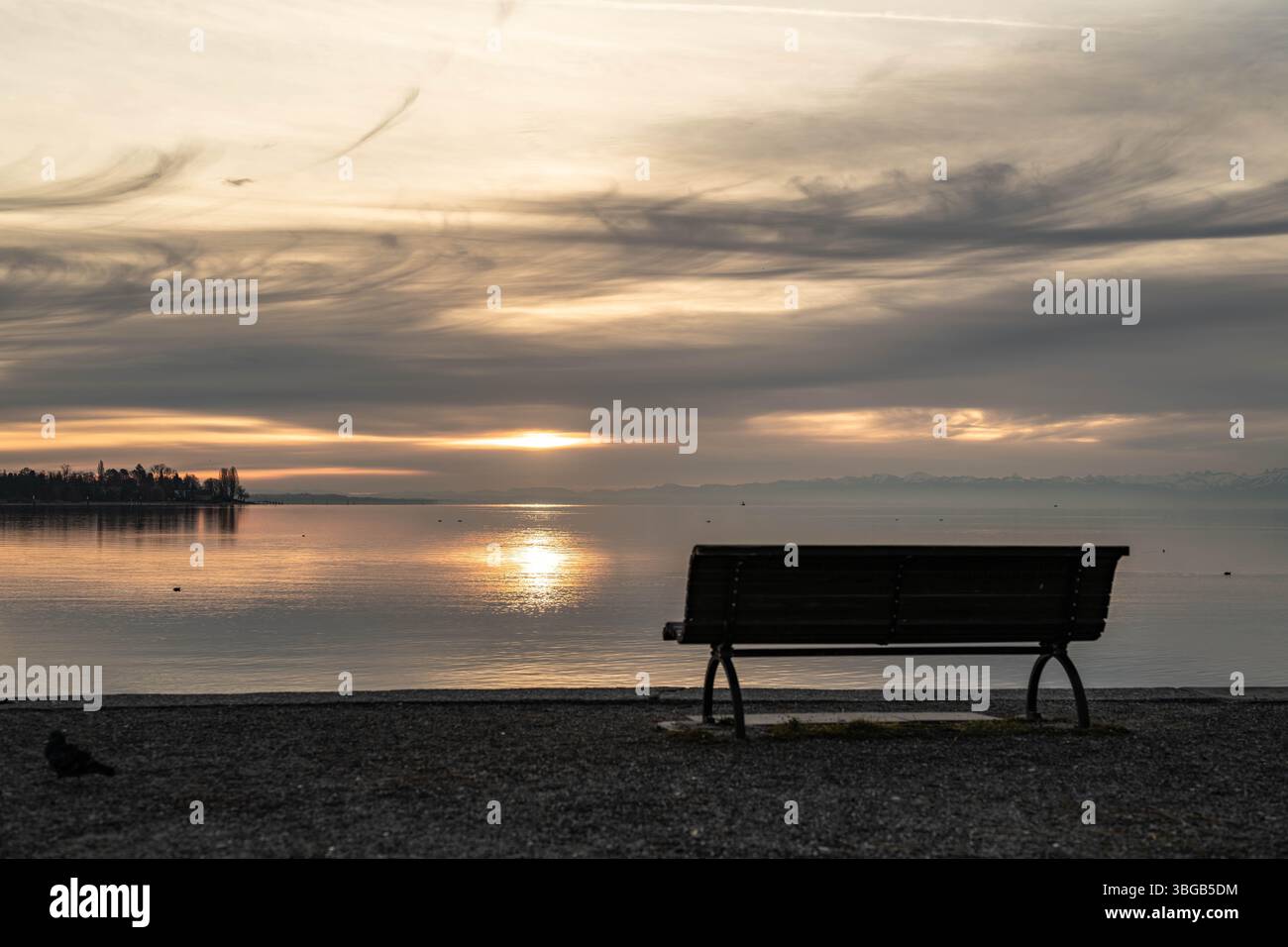 Beschreibung : Blick auf den See und die Alpen am Horizont in der Morgendämmerung. Konstanz, Bodensee, Bade-Württemberg, Deutschland, Europe. Banque D'Images