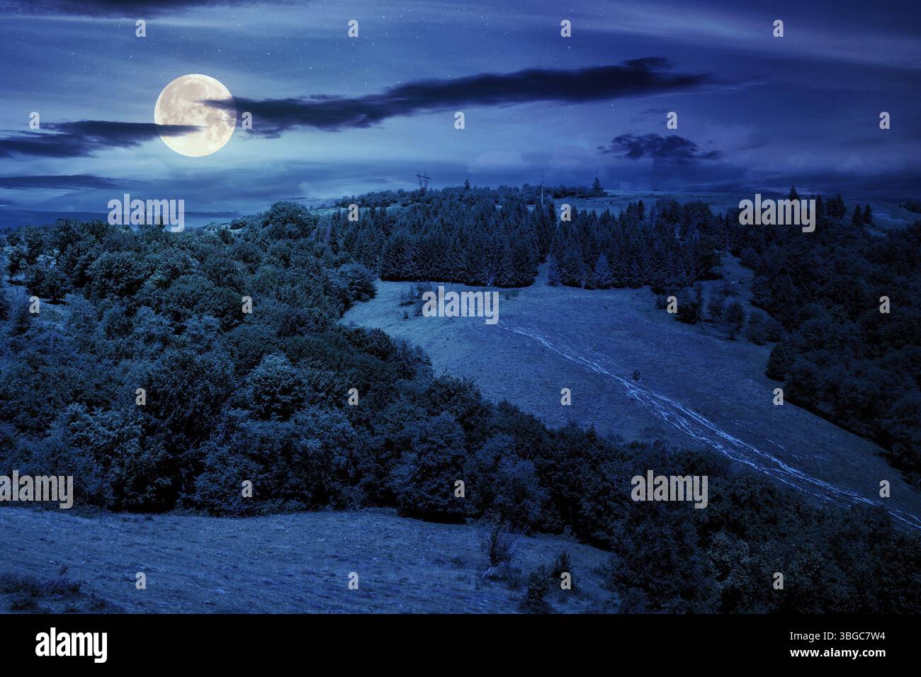 paysage de campagne tranquille avec forêt sur la colline en été la nuit. herbe luxuriante sur la pente en pleine lune. simplicité pittoresque Banque D'Images paysage de campagne tranquille avec forêt sur la colline en été la nuit. herbe luxuriante sur la pente en pleine lune. simplicité pittoresque Banque D'Images