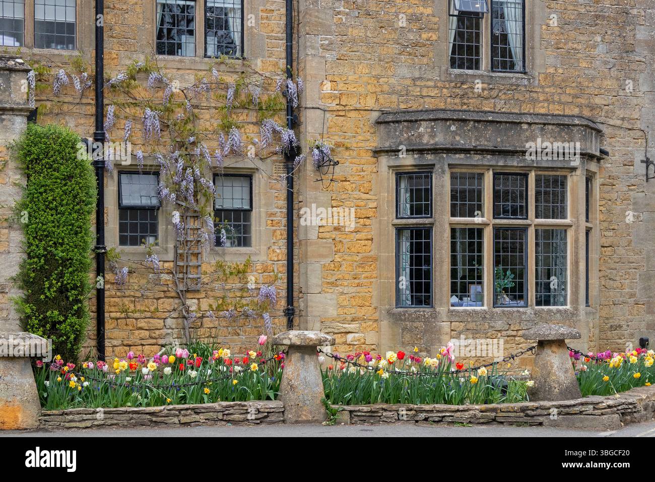 Maison couleur miel, fenêtre, fleurs, tulipes, Bourton-sur-l'eau, Cotswolds, Gloucestershire, Angleterre, Grande-Bretagne Banque D'Images
