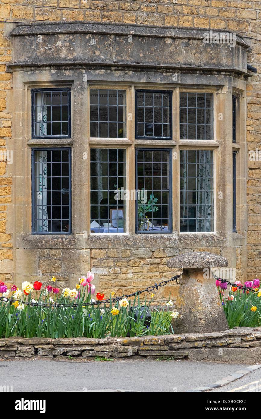 Maison couleur miel, fenêtre, fleurs, tulipes, Bourton-sur-l'eau, Cotswolds, Gloucestershire, Angleterre, Grande-Bretagne Banque D'Images