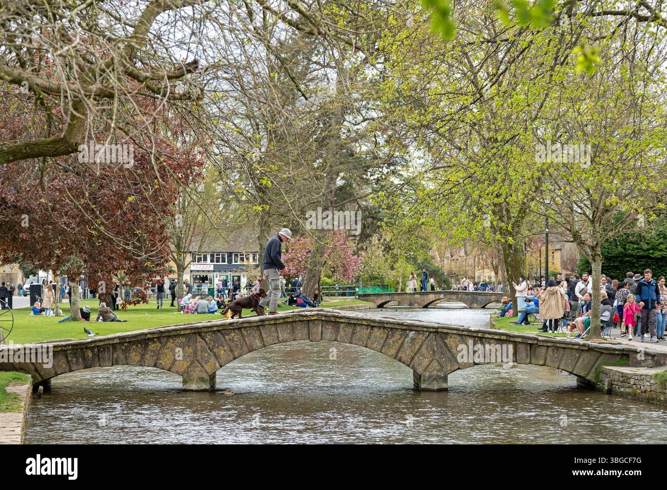 Ponts, River Windrush, gens, Bourton-on-the-Water, les Cotswolds, Gloucestershire, Angleterre, Grande-Bretagne Banque D'Images