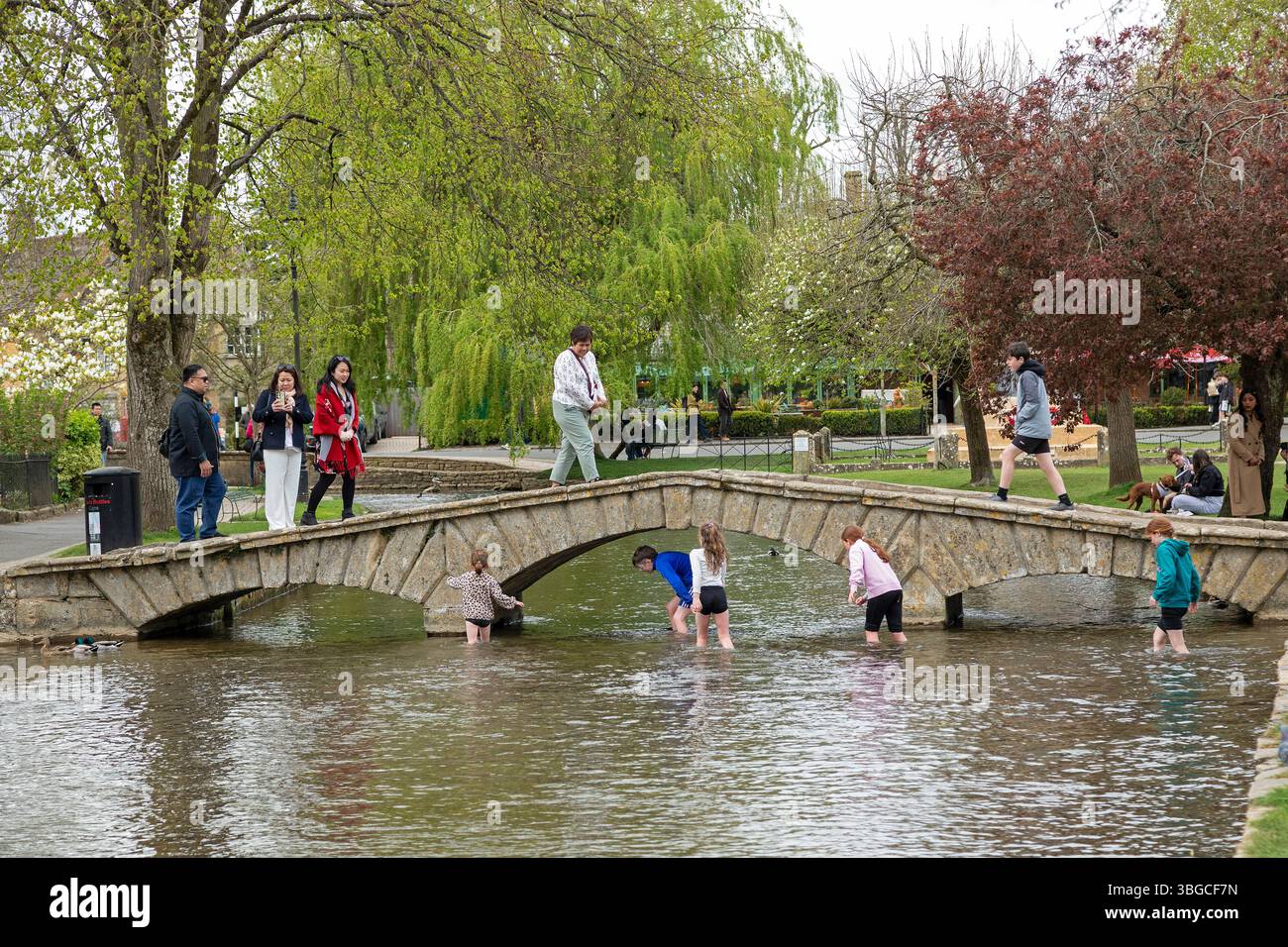 Brücke, Fluss Windrush, Menschen, Kinder spielen im Wasser, Bourton-on-the-Water, Cotswolds, Gloucestershire, Angleterre, Großbritannien | Pont, Ri Banque D'Images