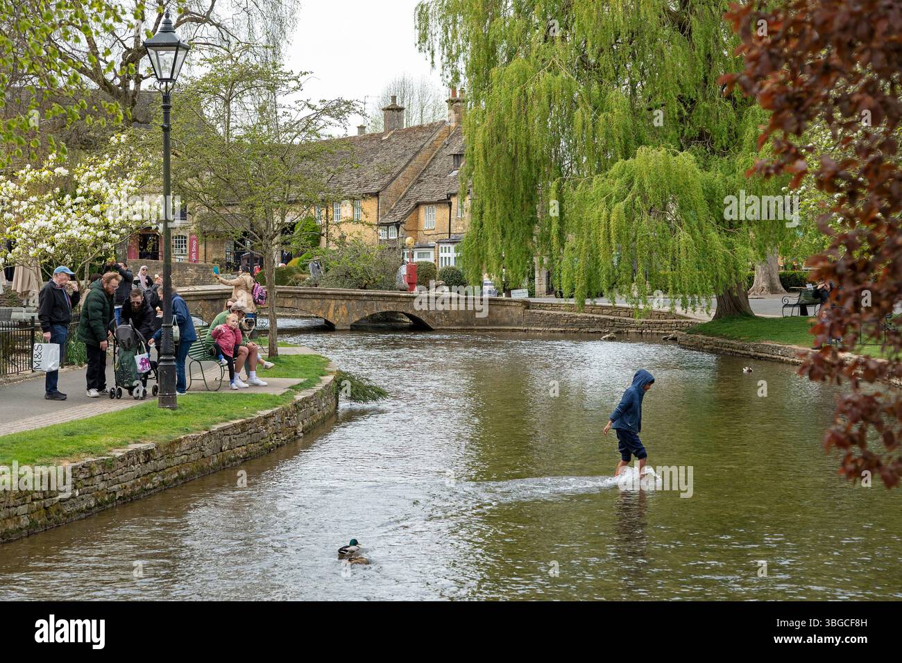 Pont, River Windrush, gens, enfant jouant dans l'eau, Bourton-on-the-Water, les Cotswolds, Gloucestershire, Angleterre, grande-Bretagne Banque D'Images