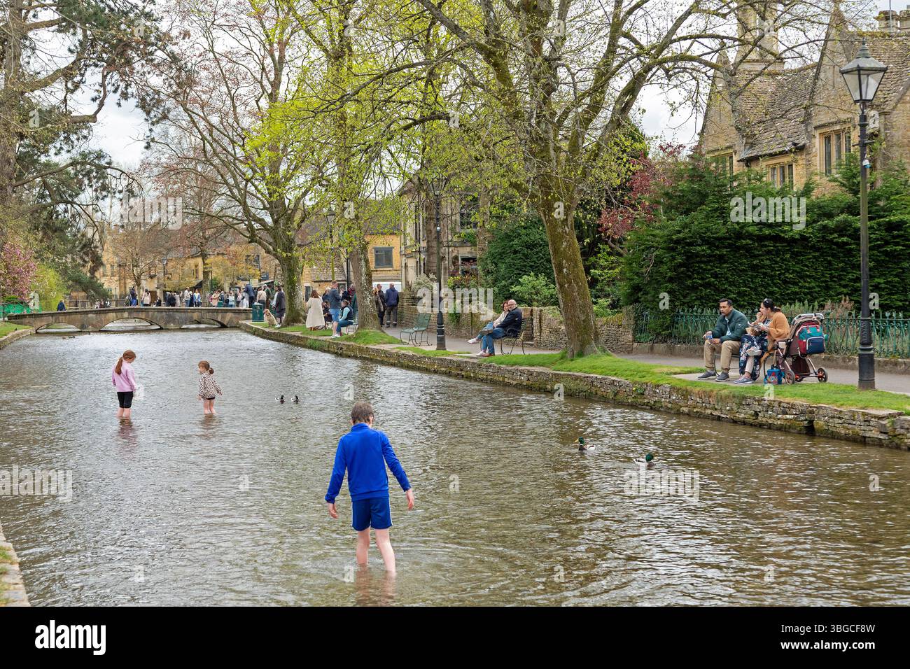Bridge, River Windrush, les gens, les enfants jouant dans l'eau, Bourton-on-the-Water, les Cotswolds, Gloucestershire, Angleterre, grande-Bretagne Banque D'Images