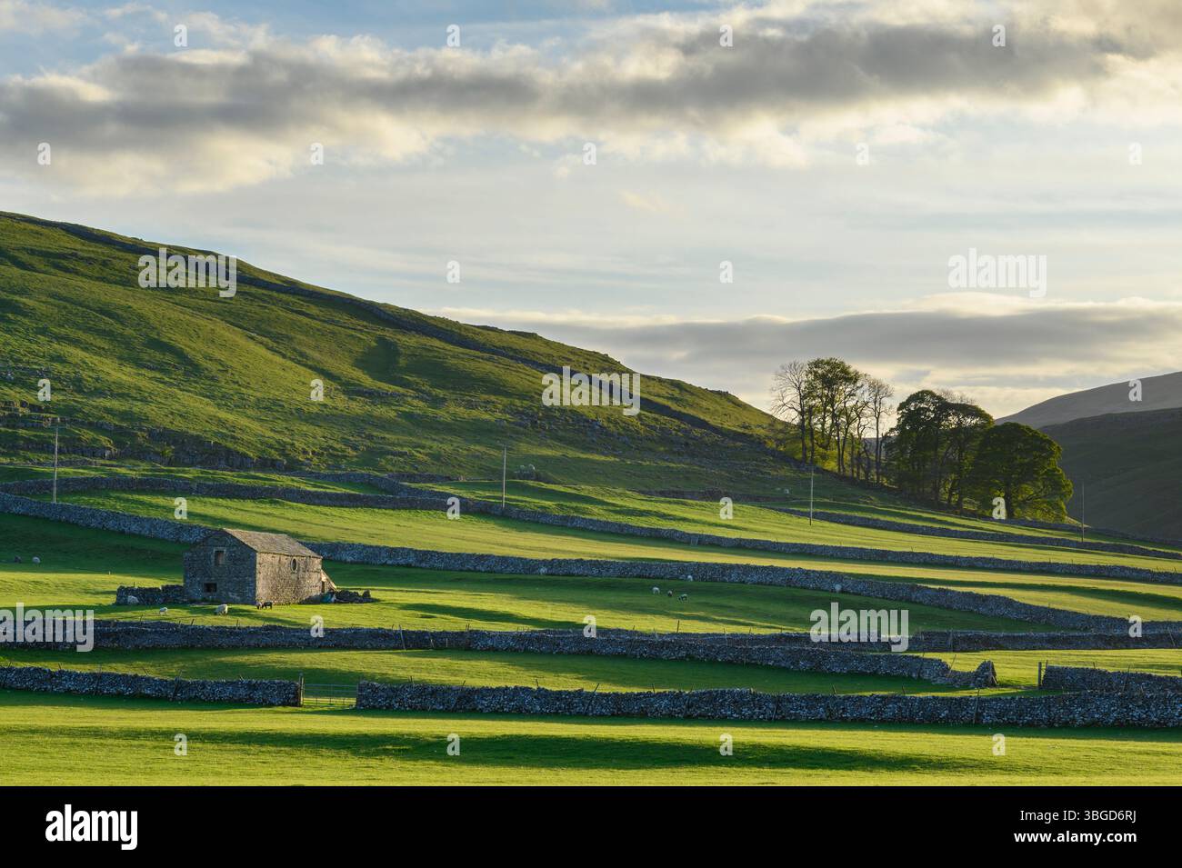 Angleterre, Yorkshire du Nord, Parc national des Yorkshire Dales. Grange en pierre traditionnelle du Yorkshire photographiée en bas de Littondale dans les Yorkshire Dales. Banque D'Images