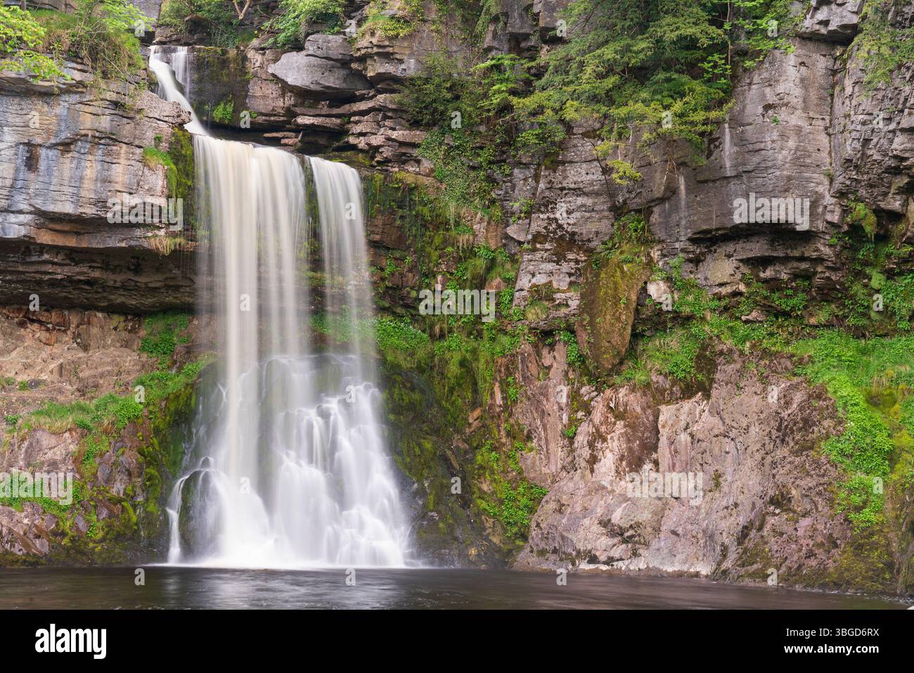 Englabd, Yorkshire, Yorkshire Dales National Park. Les eaux rapides de la chute d'eau Thornton Force, près d'Ingleton. Banque D'Images