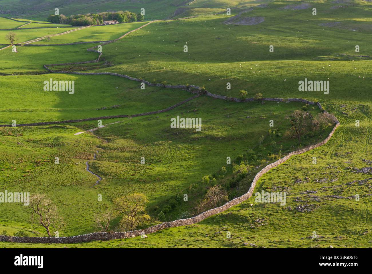 Angleterre, Yorkshire du Nord, Parc national des Yorkshire Dales. Vue sur Crummack Dale et ses murs traditionnels en pierre sèche des cicatrices de Moughton. Banque D'Images