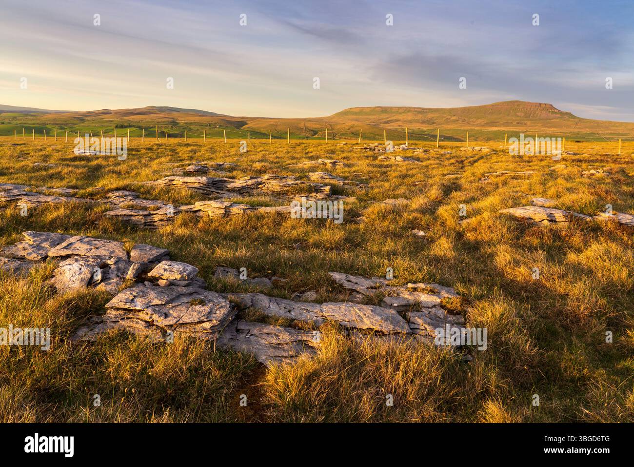 Angleterre, Yorkshire du Nord, Parc national des Yorkshire Dales. Cicatrices de Moughton, regardant vers le sommet de Pen-y-gand. Banque D'Images