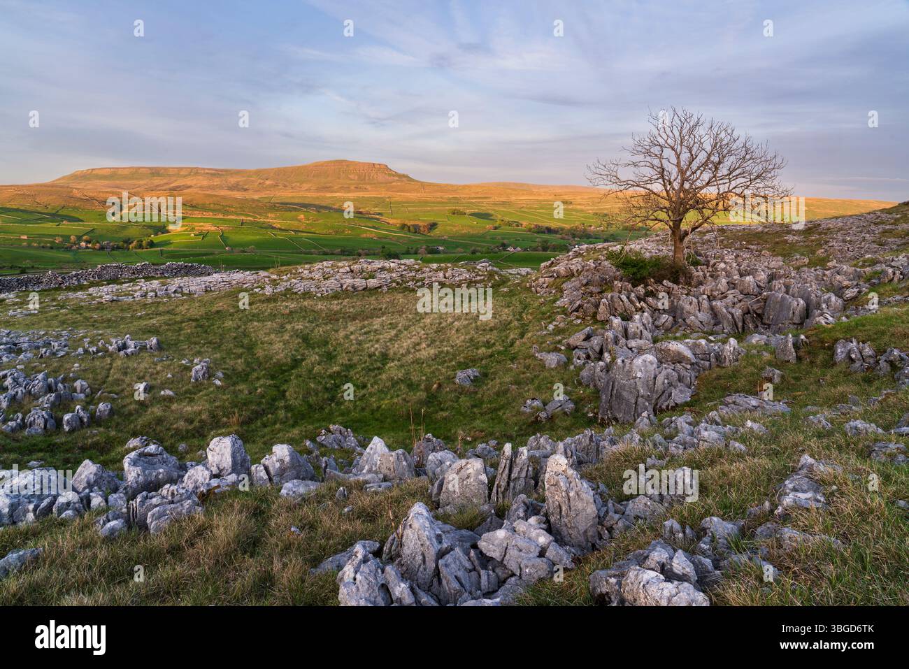 Angleterre, Yorkshire du Nord, Parc national des Yorkshire Dales. Cicatrices de Moughton, regardant vers le sommet de Pen-y-gand. Banque D'Images