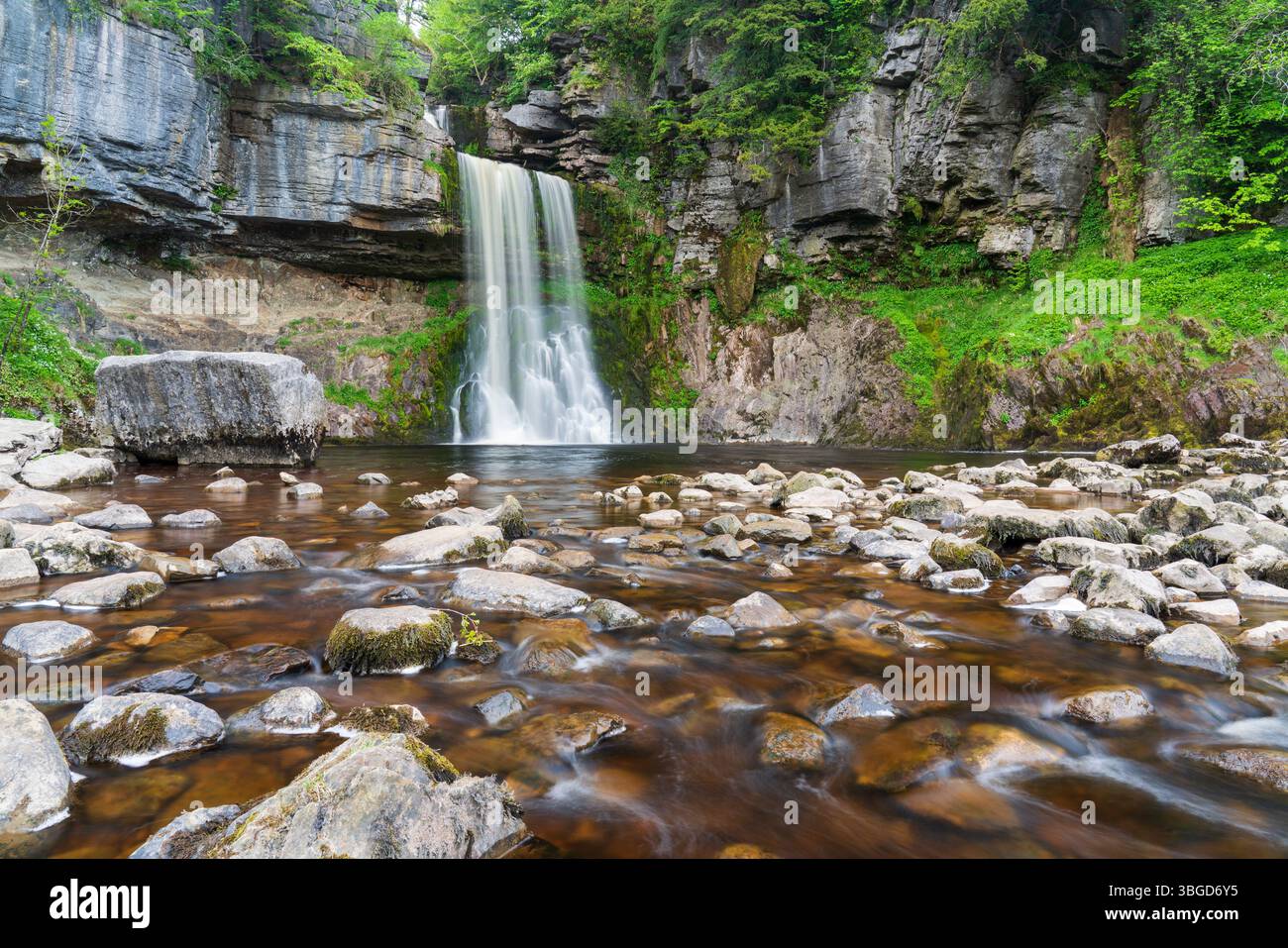 Englabd, Yorkshire, Yorkshire Dales National Park. Les eaux rapides de la chute d'eau Thornton Force, près d'Ingleton. Banque D'Images
