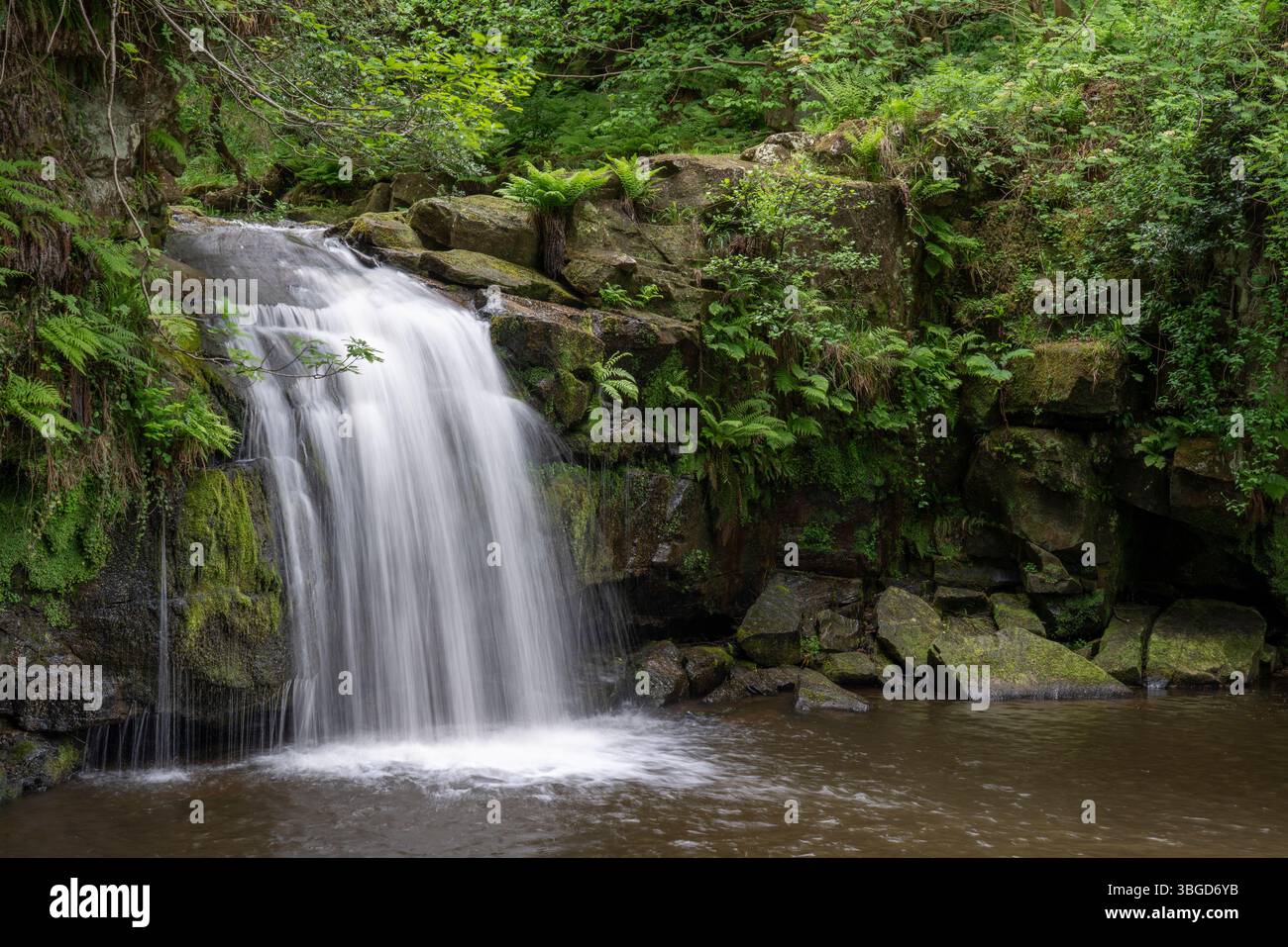 Angleterre, North Yorkshire, North York Moors National Park. Thomason Foss, une cascade pittoresque située entre les villages de Goathland et Beck H. Banque D'Images