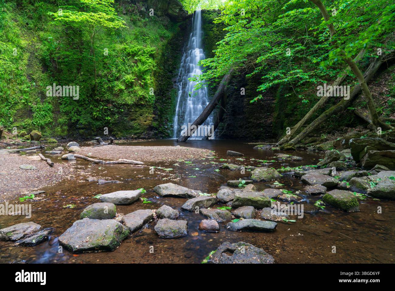 Angleterre, North Yorkshire, North York Moors National Park. Falling Foss, une cascade populaire située dans la forêt de Sneaton dans la nation North York Moors Banque D'Images