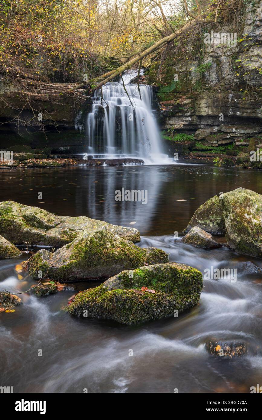 Angleterre, Yorkshire du Nord, Parc national des Yorkshire Dales. West Burton Falls, également connu sous le nom de Cauldron Falls, dans le parc national des Yorkshire Dales. Banque D'Images