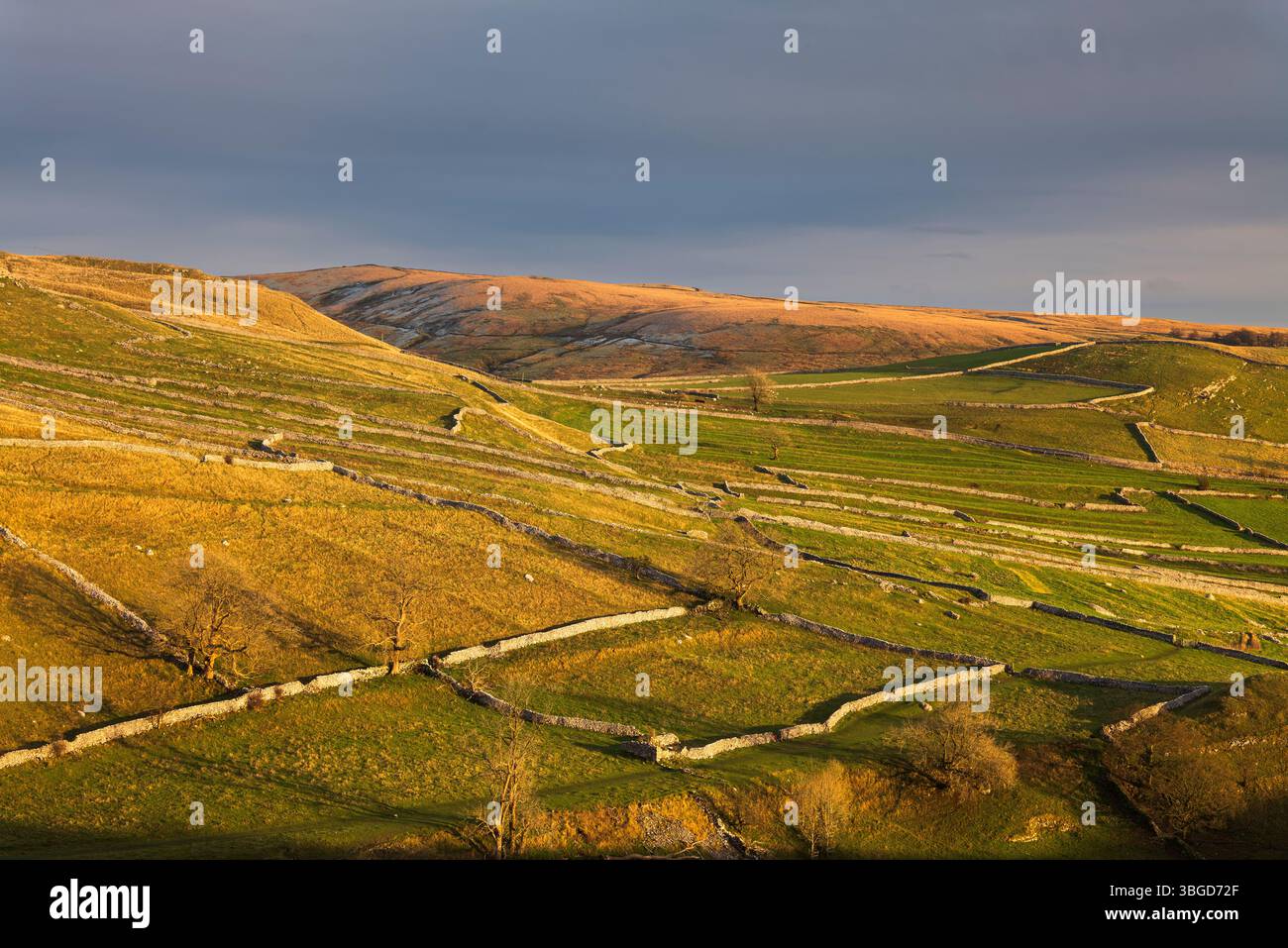 Angleterre, Yorkshire, Yorkshire Dales National Park. La dernière lumière illumine les murs traditionnels en pierre sèche et les champs près de Malham Cove dans le Yorkshire Dal Banque D'Images