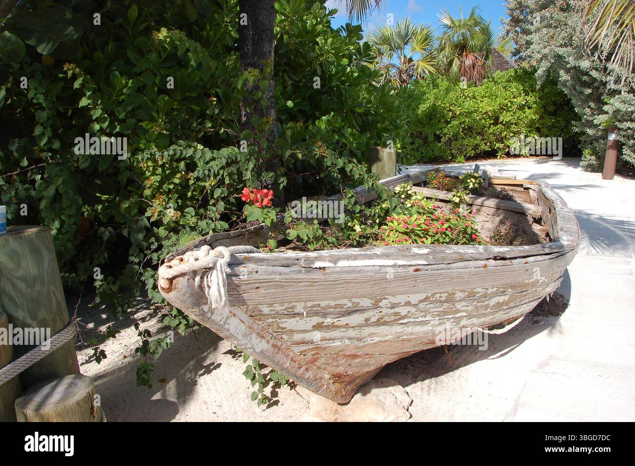 Vieux bateau en bois réutilisé comme un planteur de jardin, entouré d'une végétation tropicale luxuriante Banque D'Images