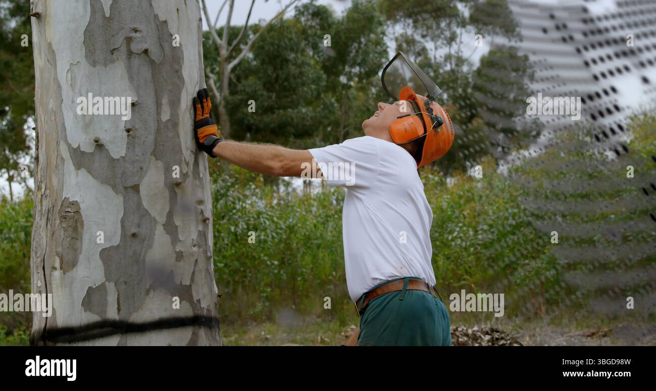 Image du traitement des données sur l'exercice musclé de l'homme Banque D'Images