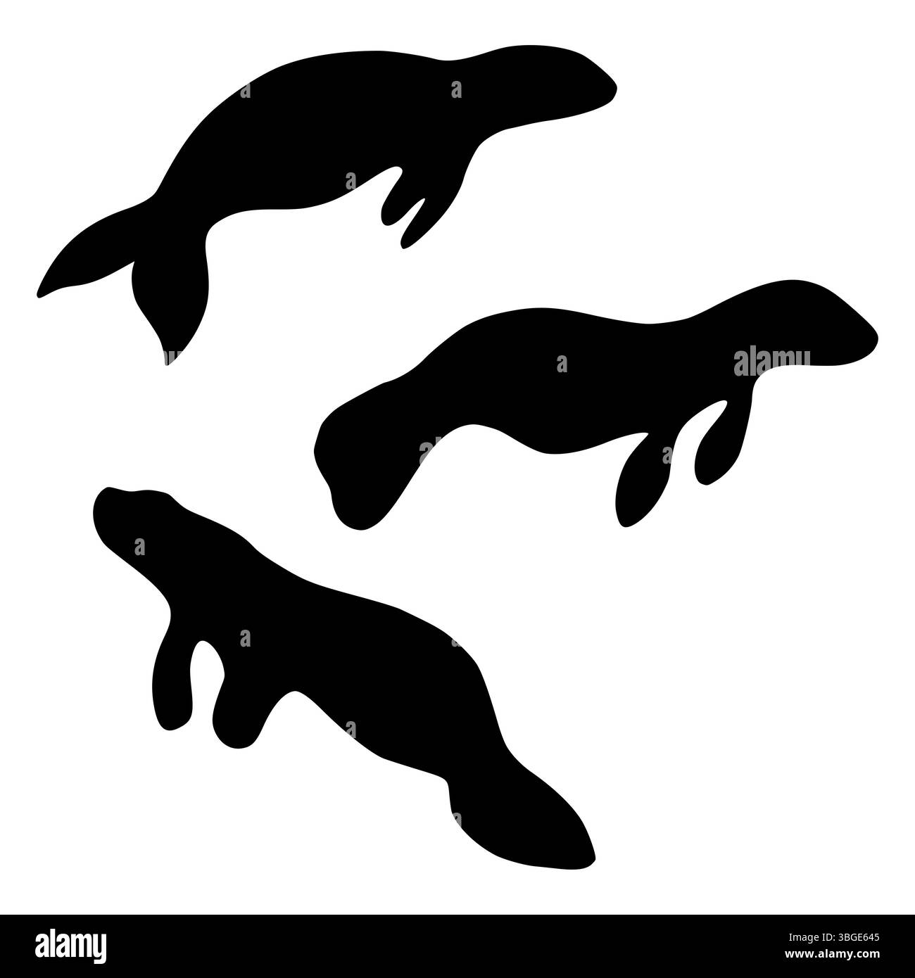 Ensemble de silhouette de lamantin, illustration vectorielle plate dessinée à la main noire d'un lamantin, logo de lamantin, vie marine Illustration de Vecteur