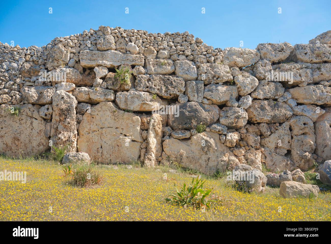 Ggjantija Gozo, détail de l'arrière du complexe du temple de Ggantija montrant la variété des immenses dalles de calcaire qui composent la structure, Malte Banque D'Images