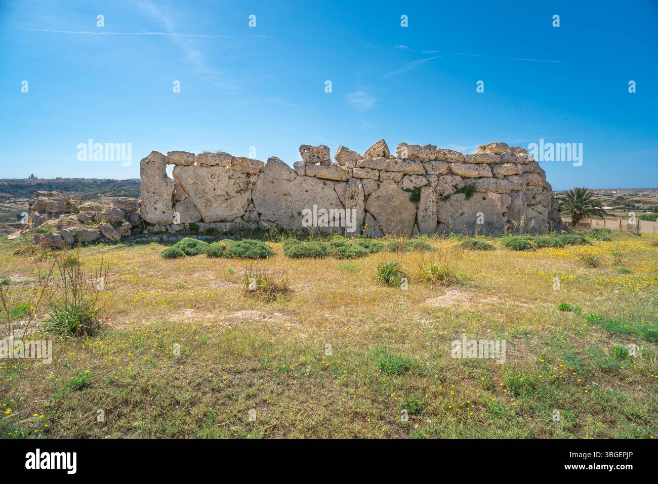 Temple Ggantija Malte, vue du nord-ouest de l'arrière du complexe du temple Ggantija montrant les immenses pierres qui composent la structure, Gozo Banque D'Images