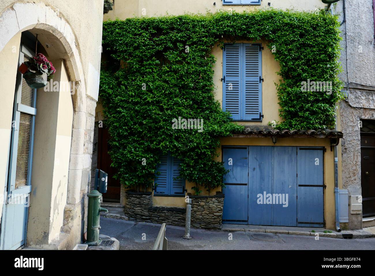 Ancien bâtiment européen avec volets bleus et façade en pierre recouverte de lierre, capturant le charme rustique dans une lumière naturelle douce. Banque D'Images