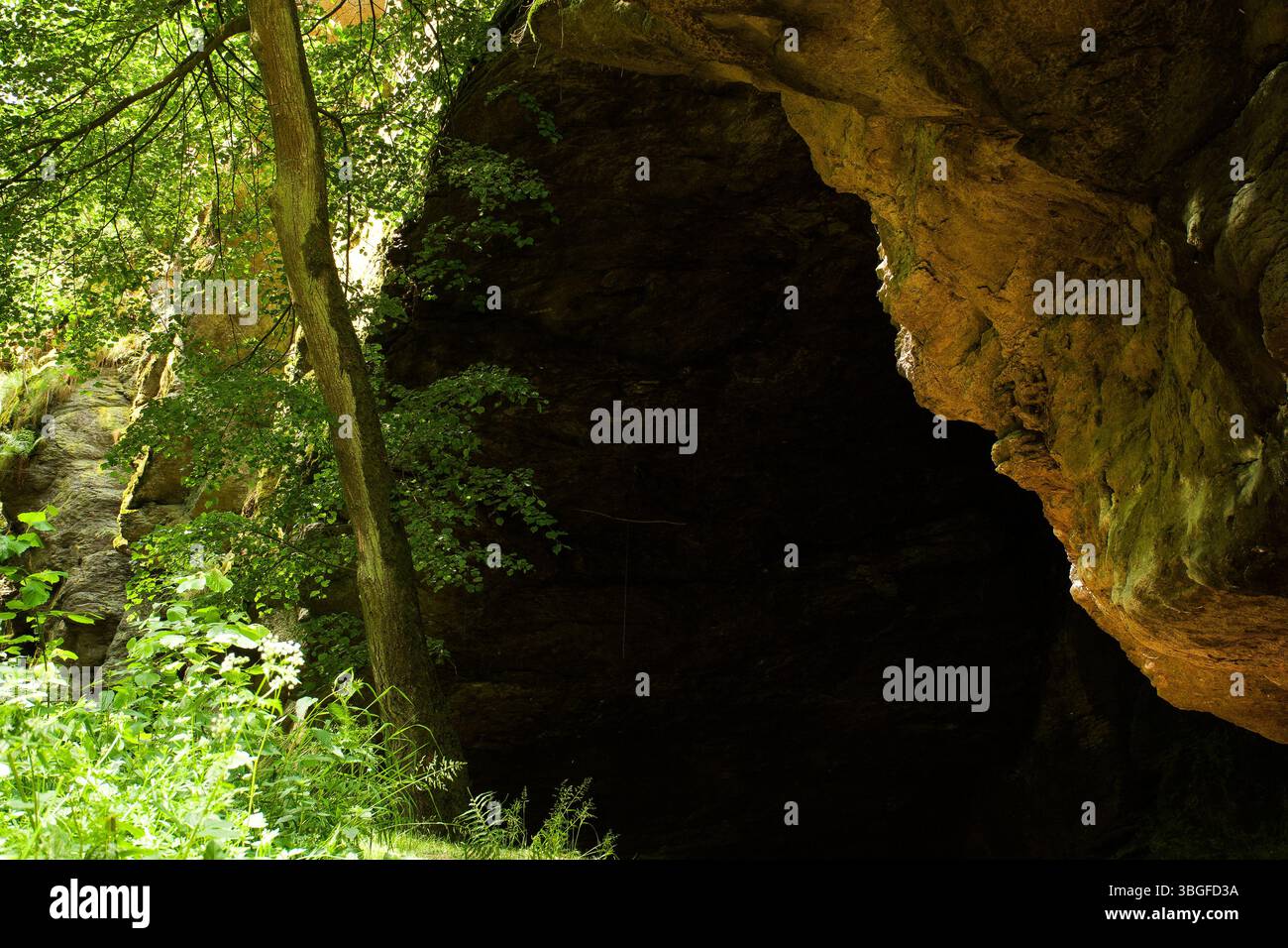 La lumière du soleil perce la forêt dense, révélant l'entrée texturée d'une grotte cachée nichée dans la verdure luxuriante d'un chemin boisé rocheux. Banque D'Images