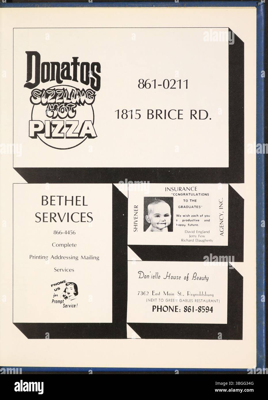 L'annuaire Reynolian de 1976 du lycée de Reynoldsburg met en lumière la riche histoire du système éducatif de la région, à commencer par une cabane en rondins en 1819. La Reynoldsburg Union Academy, créée en 1868, offre 12 classes et obtient son diplôme de première classe en 1871. Le bâtiment de 1858 briques a été rénové en 1925, ajoutant un troisième étage. Aujourd'hui, le bâtiment est Hannah J. Ashton Middle School, tandis que Reynoldsburg High a deux campus. Banque D'Images