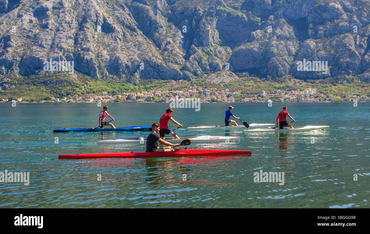 Canoéistes pagayant sur Kotor Bay, Monténégro. Kotor Bay a de nombreux clubs de sports nautiques pour les jeunes adultes. Banque D'Images