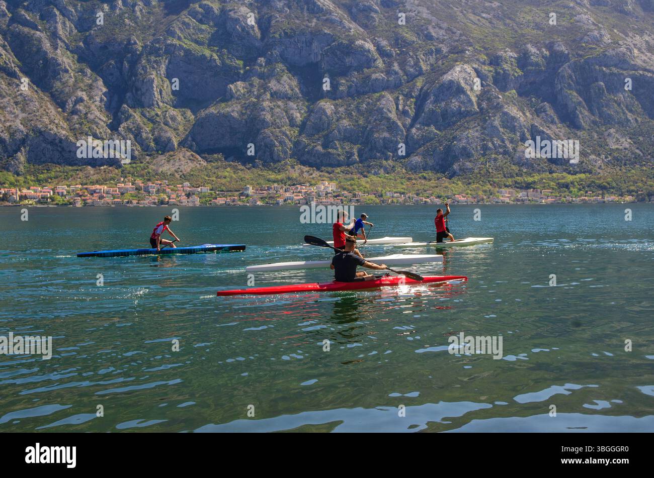 Canoéistes pagayant sur Kotor Bay, Monténégro. Kotor Bay a de nombreux clubs de sports nautiques pour les jeunes adultes. Banque D'Images