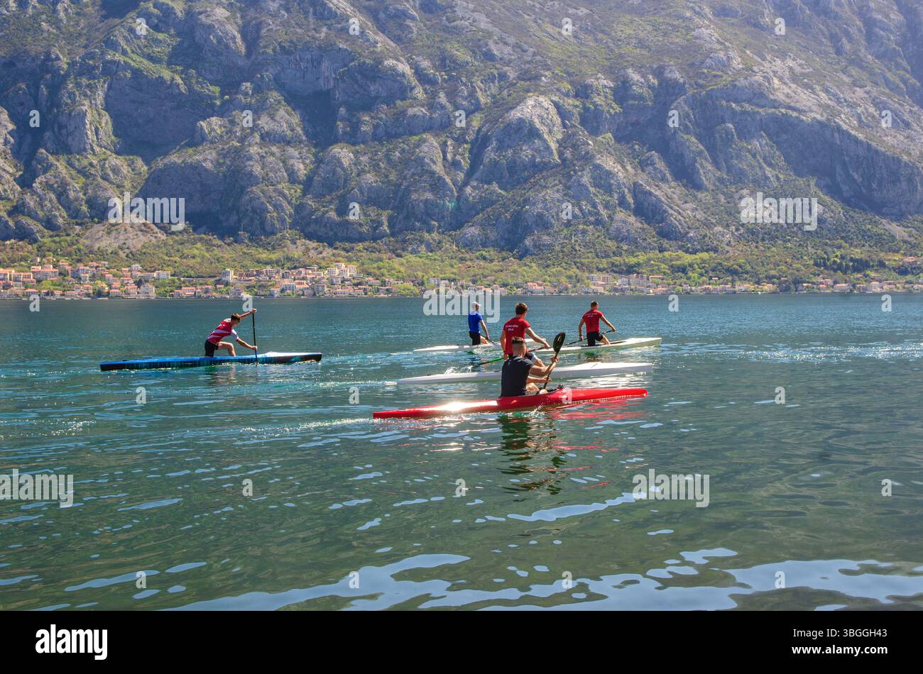 Canoéistes pagayant sur Kotor Bay, Monténégro. Kotor Bay a de nombreux clubs de sports nautiques pour les jeunes adultes. Banque D'Images