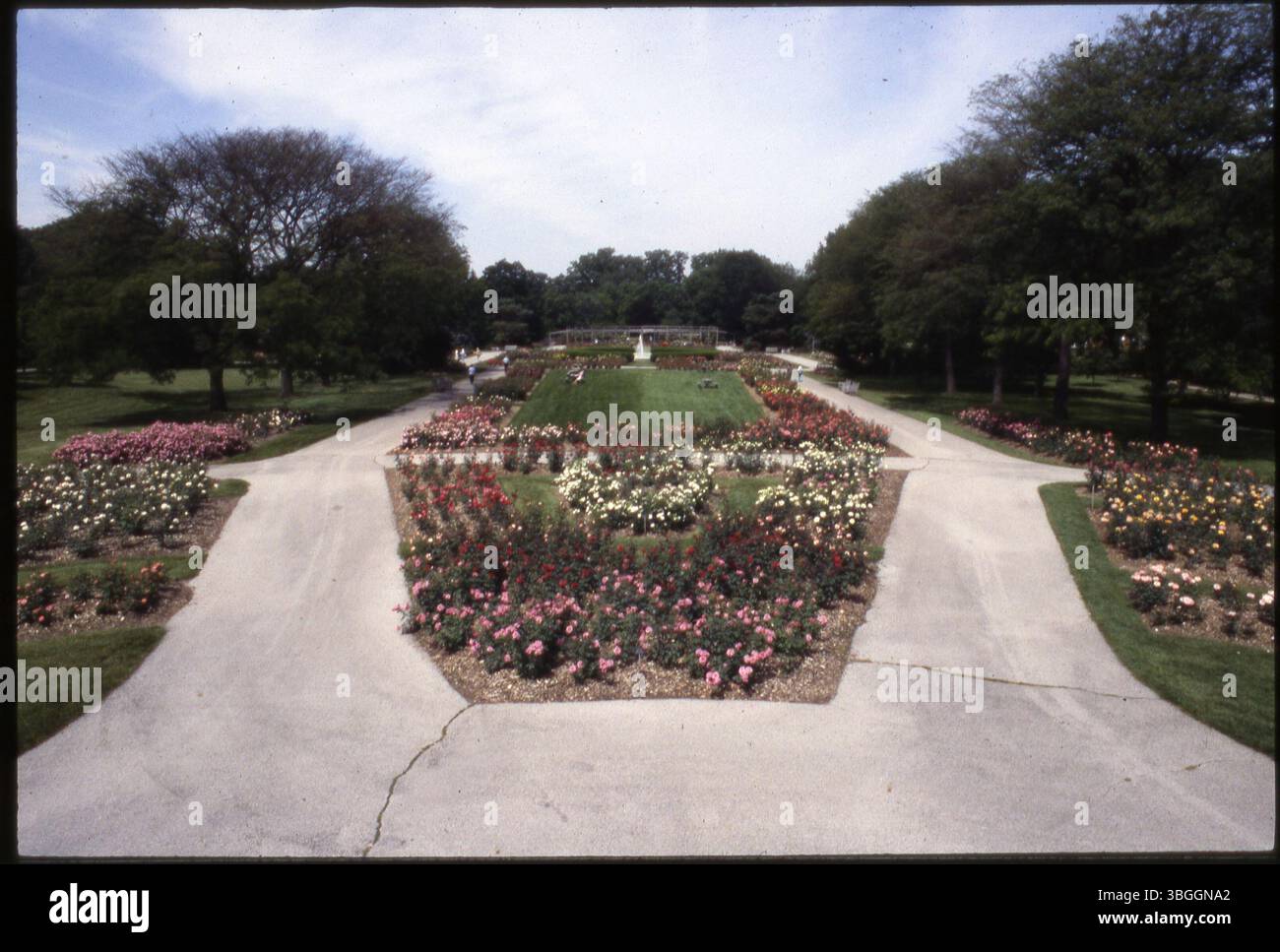 Une vue à l'intérieur du Columbus Park of Roses, un parc de 13 acres qui a ouvert ses portes en juin 1953. Le parc fait partie de Whetstone Park, qui faisait à l'origine partie de la ferme E.A. Fuller. Banque D'Images