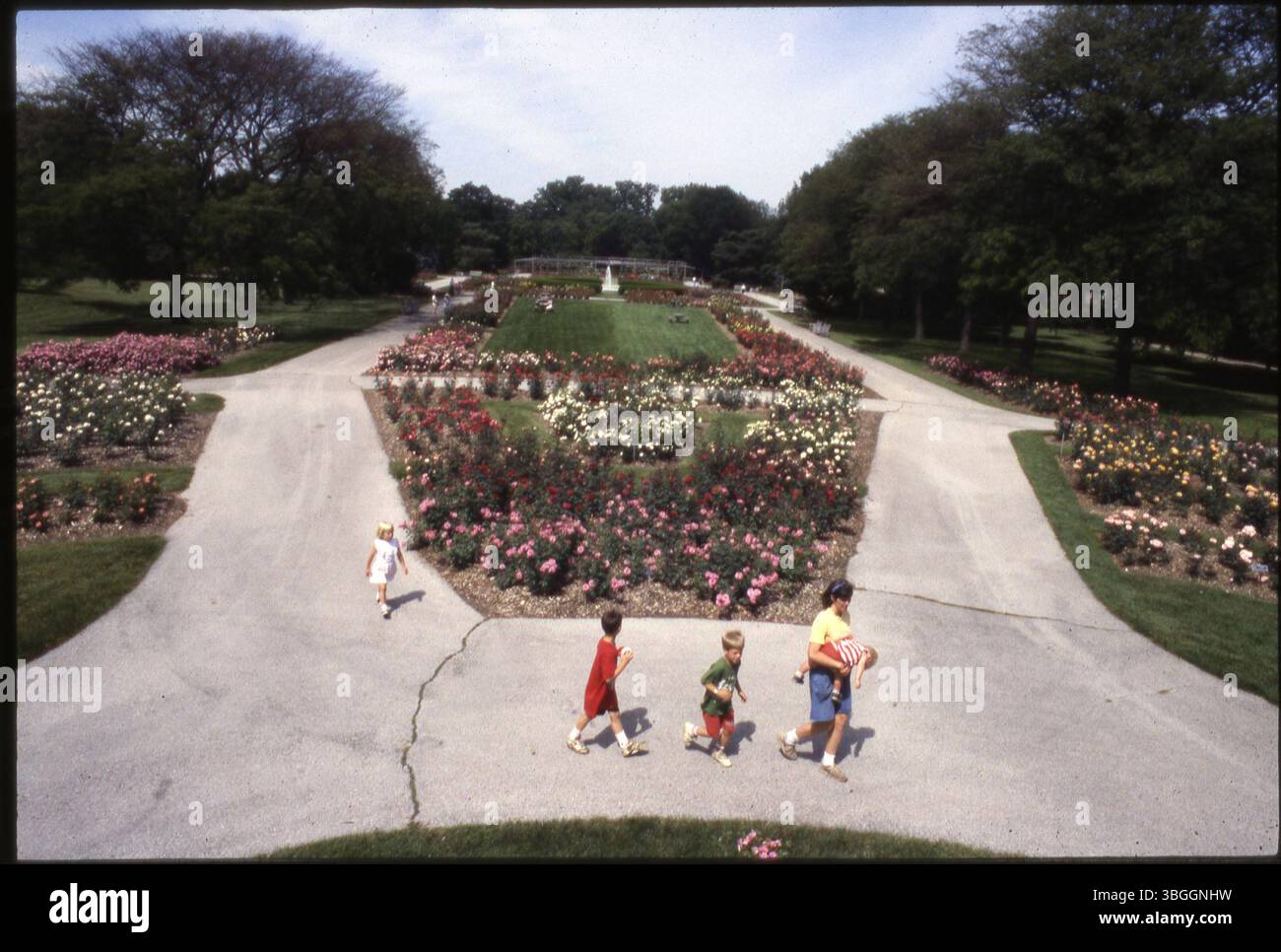 Une vue à l'intérieur du Columbus Park of Roses, qui a ouvert en juin 1953 dans le cadre du Whetstone Park. Whetstone Park, anciennement partie de la ferme E. A. Fuller, a été acheté par le conseil municipal de Columbus en 1944 et a été inauguré en 1950. Le parc est connu pour ses roseraies et ses espaces verts publics. Banque D'Images