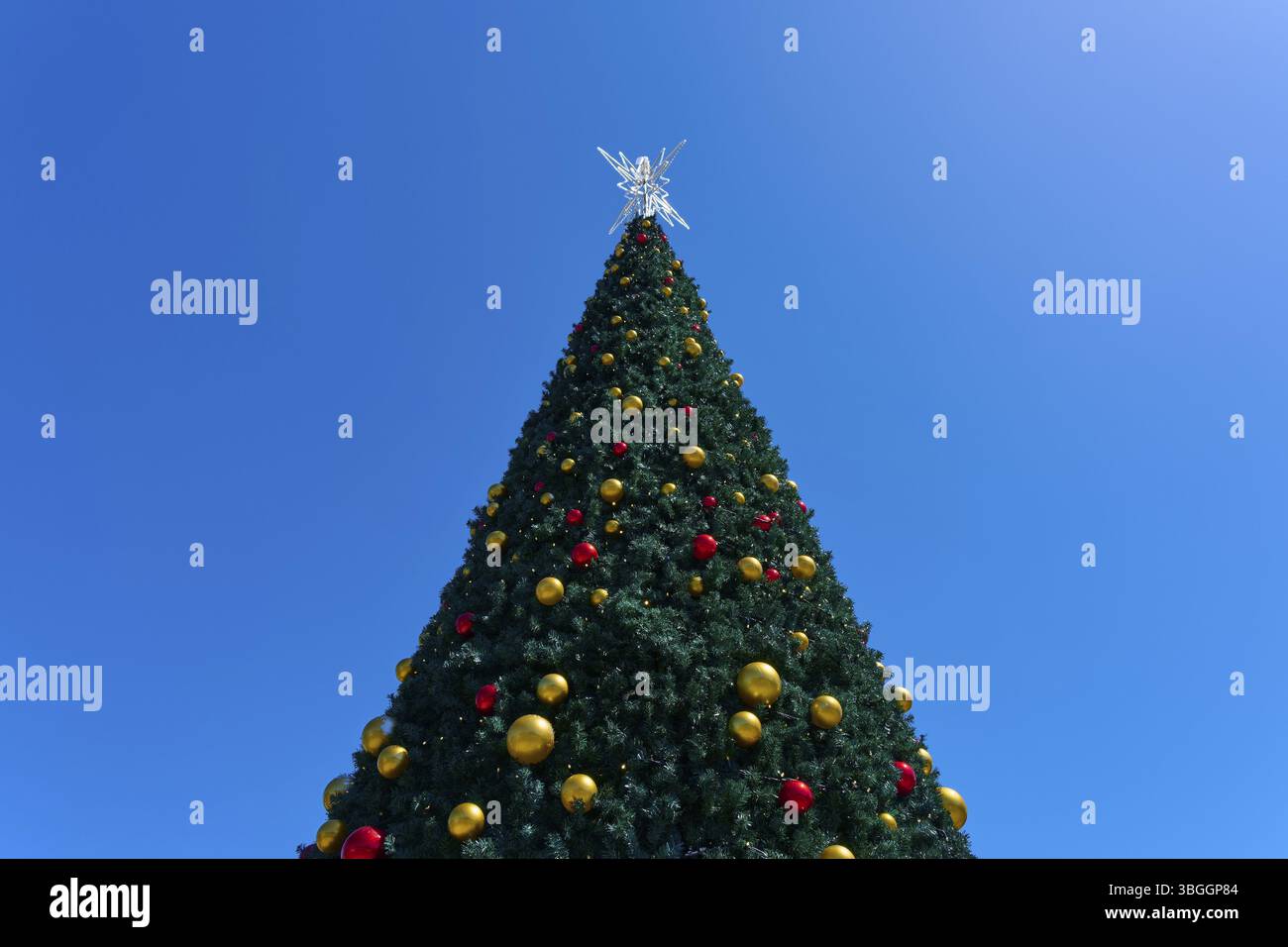 Grand sapin de Noël avec des boules colorées devant un ciel bleu clair, ambiance festive, Bethléem, Tauranga, Bay of Plenty, île du Nord, Nouvelle-Zélande Banque D'Images