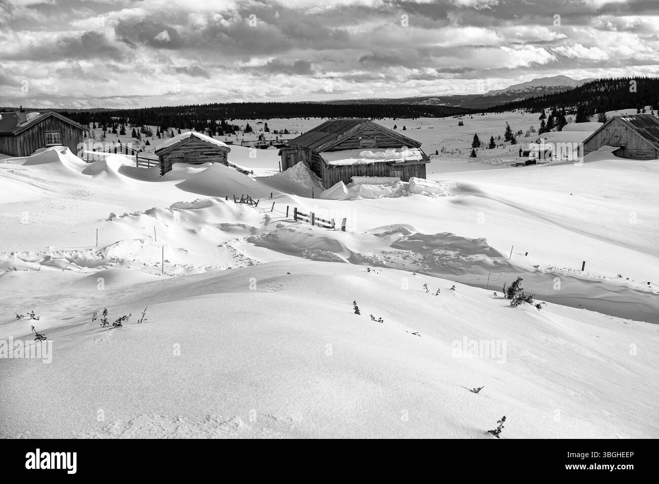 Magnifique paysage hivernal norvégien Banque D'Images