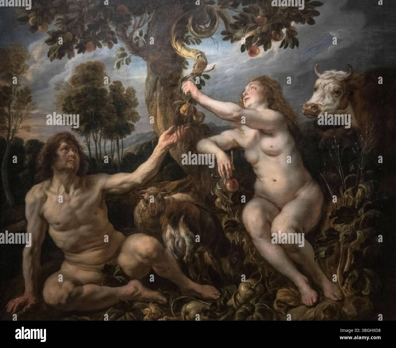 Jacob Jordaens : 'la chute de l'homme' (1640) Banque D'Images