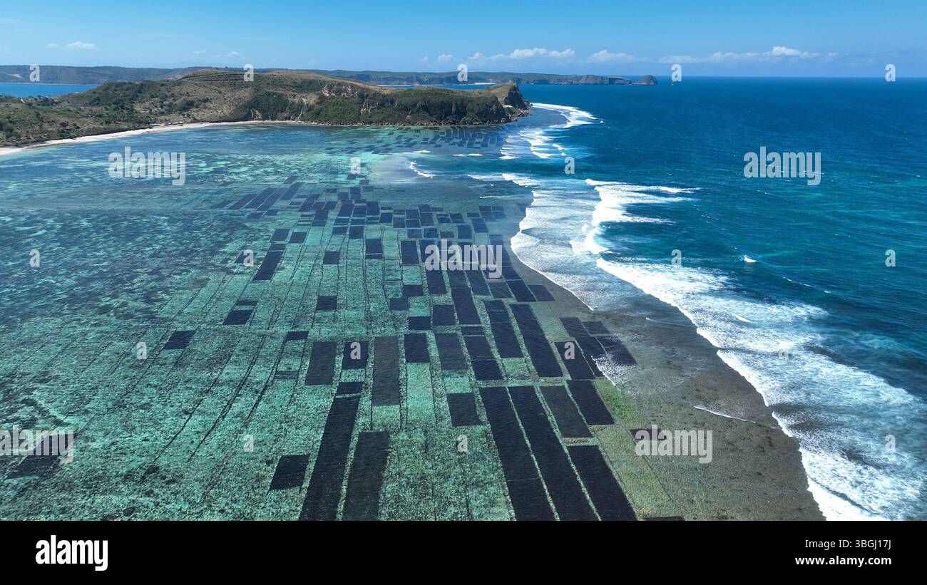 La vue aérienne de Lombok révèle des rangées interminables de fermes d'algues qui s'étendent sur le lagon turquoise peu profond, bordé par des vagues roulantes et un cli spectaculaire Banque D'Images