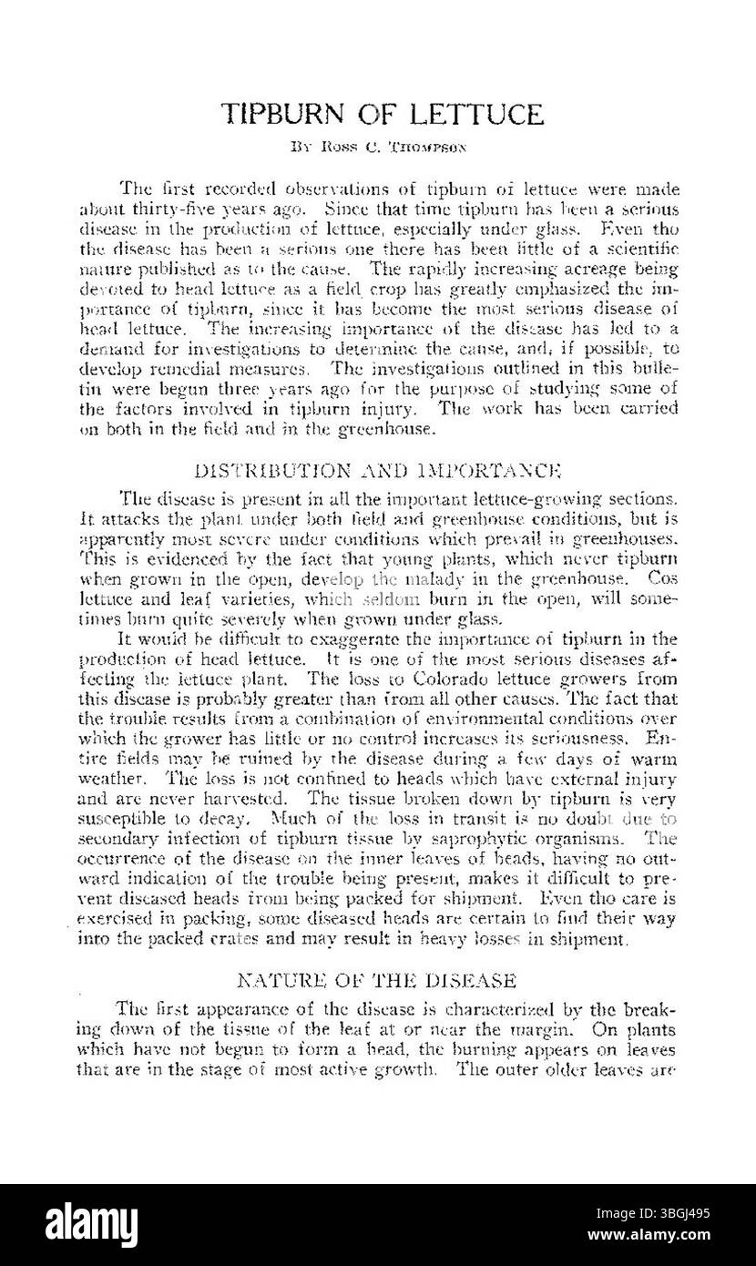 La page trois fournit de plus amples détails sur la brûlure de pointe dans la laitue, y compris les résultats de la recherche, les variétés touchées et son impact sur la qualité et la productivité des cultures. Banque D'Images