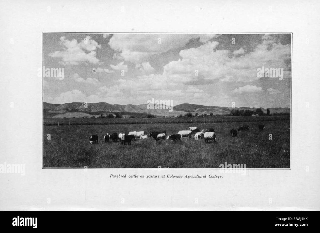 La page 349 de *History of Agriculture in Colorado* (1926) traite du rôle de la politique gouvernementale dans l'élaboration des pratiques agricoles et des implications économiques de l'agriculture au Colorado. Banque D'Images