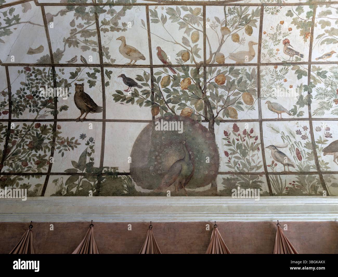 Villa Médicis, Rome, près de Piazza di Spagna. Chambre des oiseaux, fresque de Jacopo Zucchi. Banque D'Images