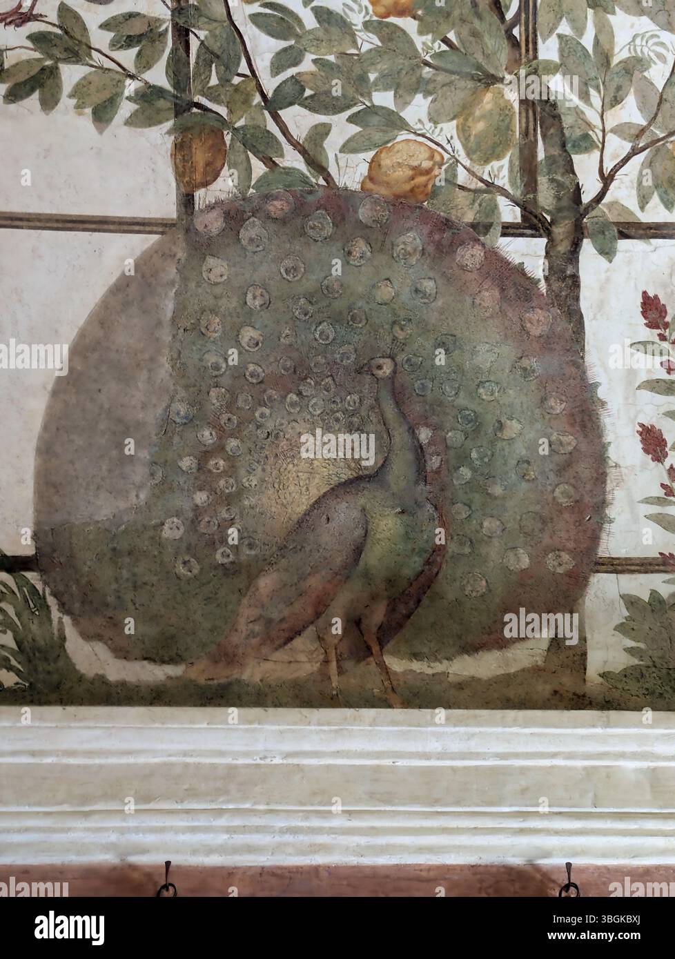 Villa Médicis, Rome, près de Piazza di Spagna. Chambre des oiseaux, fresque de Jacopo Zucchi. Banque D'Images