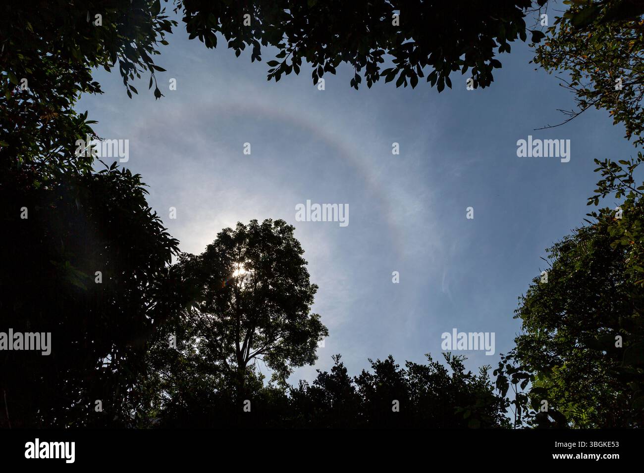 Halo, aura ou Haze à Amatlán, Morelos, Mexique Banque D'Images
