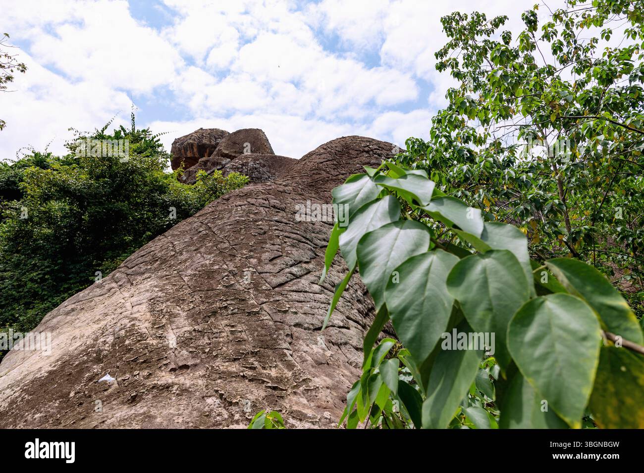 Formation rocheuse de Tano Rock dans le bosquet sacré de Tanoboase dans la région historique de Brong Ahafo dans la région de Bono East au centre du Ghana en Afrique de l'Ouest Banque D'Images