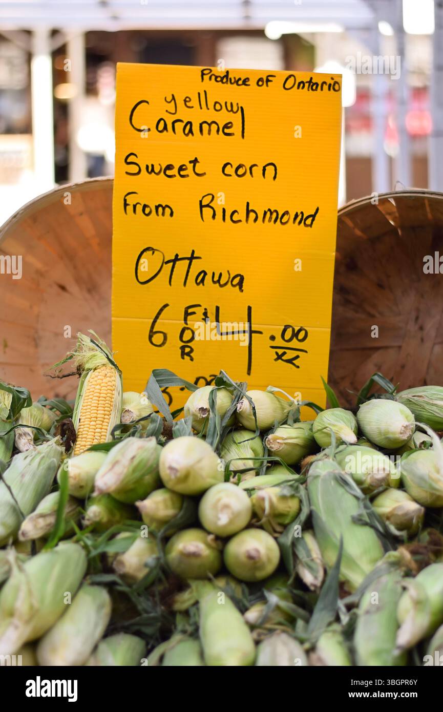 Farmers Market Stand avec du maïs sucré de Richmond Ontario au marché ByWard à Ottawa Banque D'Images
