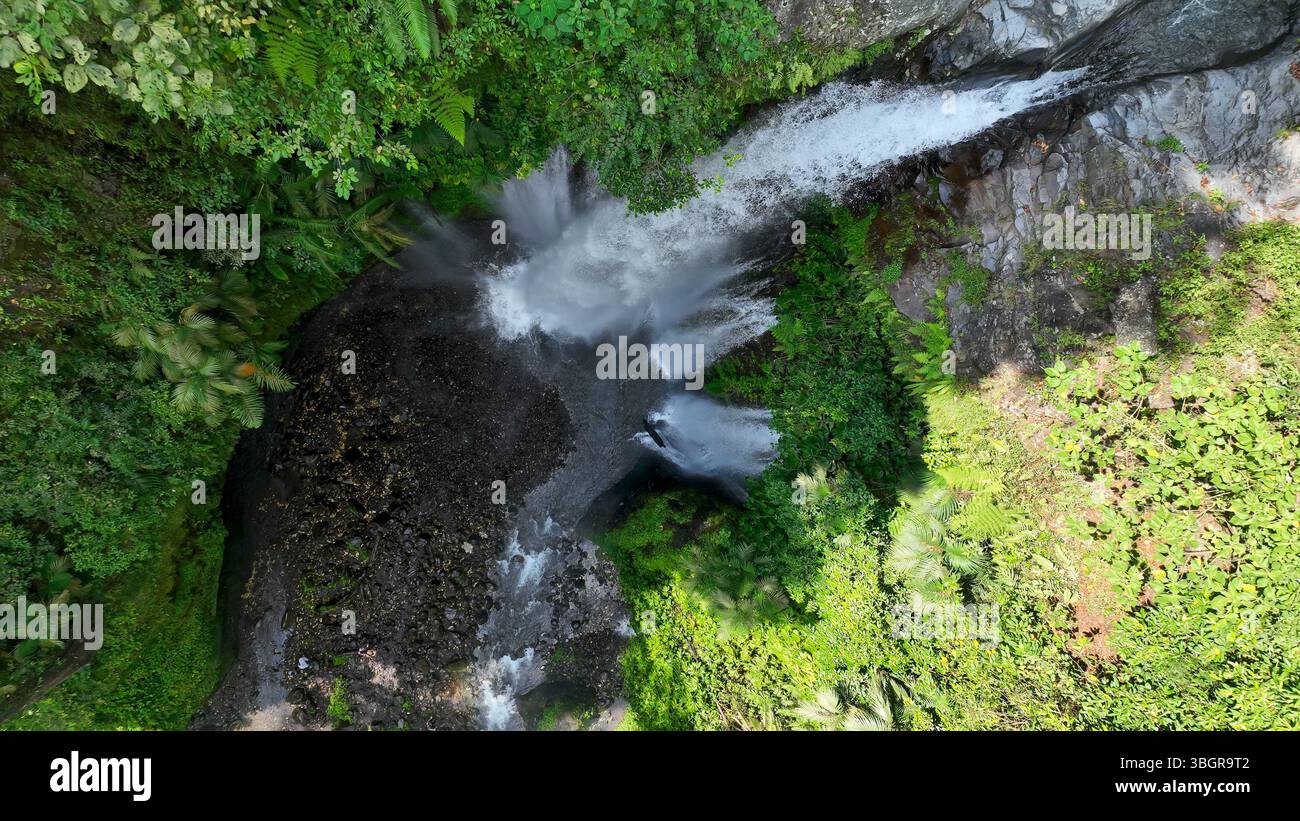 La vue aérienne de la cascade de Tiu Kelep révèle de puissantes cascades plongeant dans un bassin tropical luxuriant entouré de feuillage vert vibrant et de roches volcaniques Banque D'Images