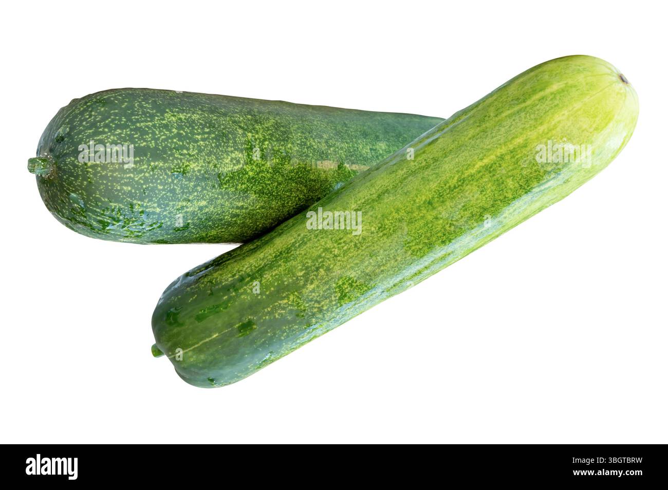 Vue de dessus de deux longs concombres verts en pile et en forme de croix à la verticale est isolé sur fond blanc avec chemin de détourage. Banque D'Images