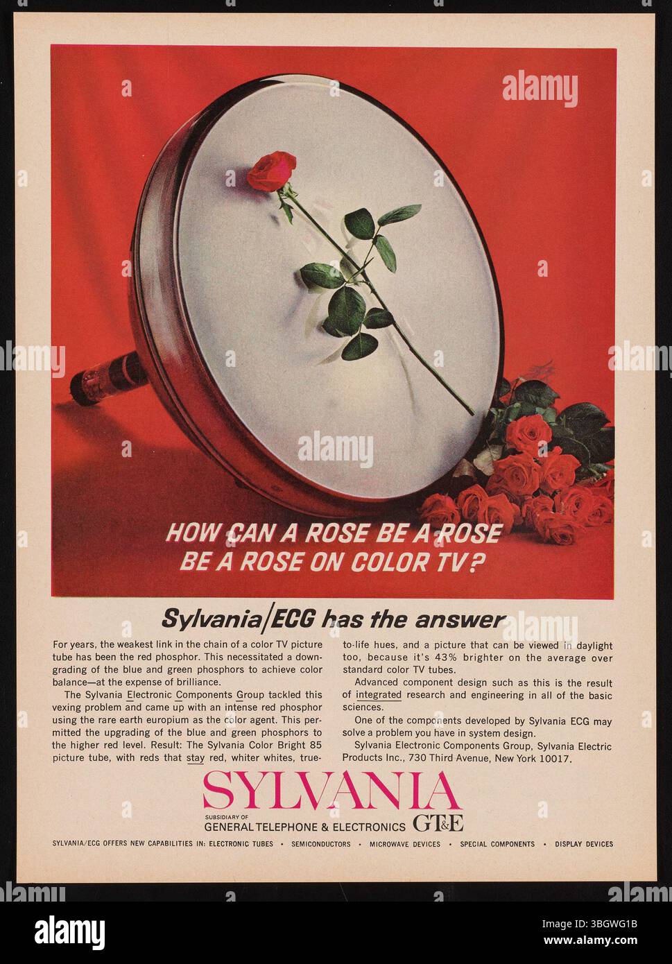 Cette publicité de 1964 pour le tube image Sylvania Color Bright 85 présente une rose et explique comment le phosphore rouge du nouveau tube, utilisant l'europium, a amélioré la balance des couleurs pour un écran TV plus lumineux. Il s'agissait d'un développement significatif dans la technologie CRT. Banque D'Images