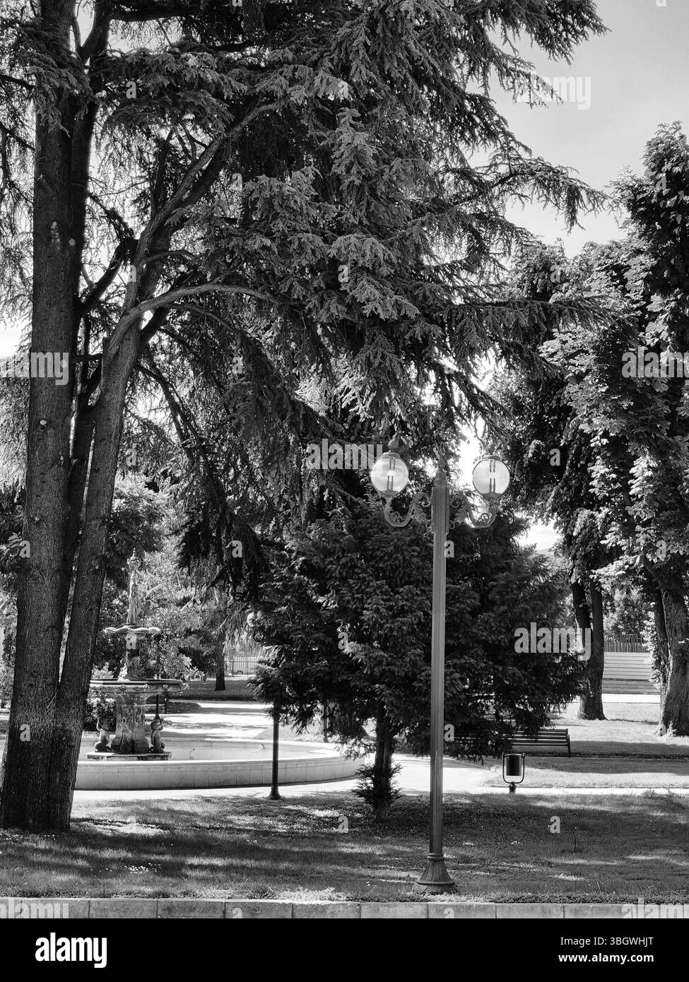 Photo noir et blanc de beau paysage dans le parc. Banque D'Images