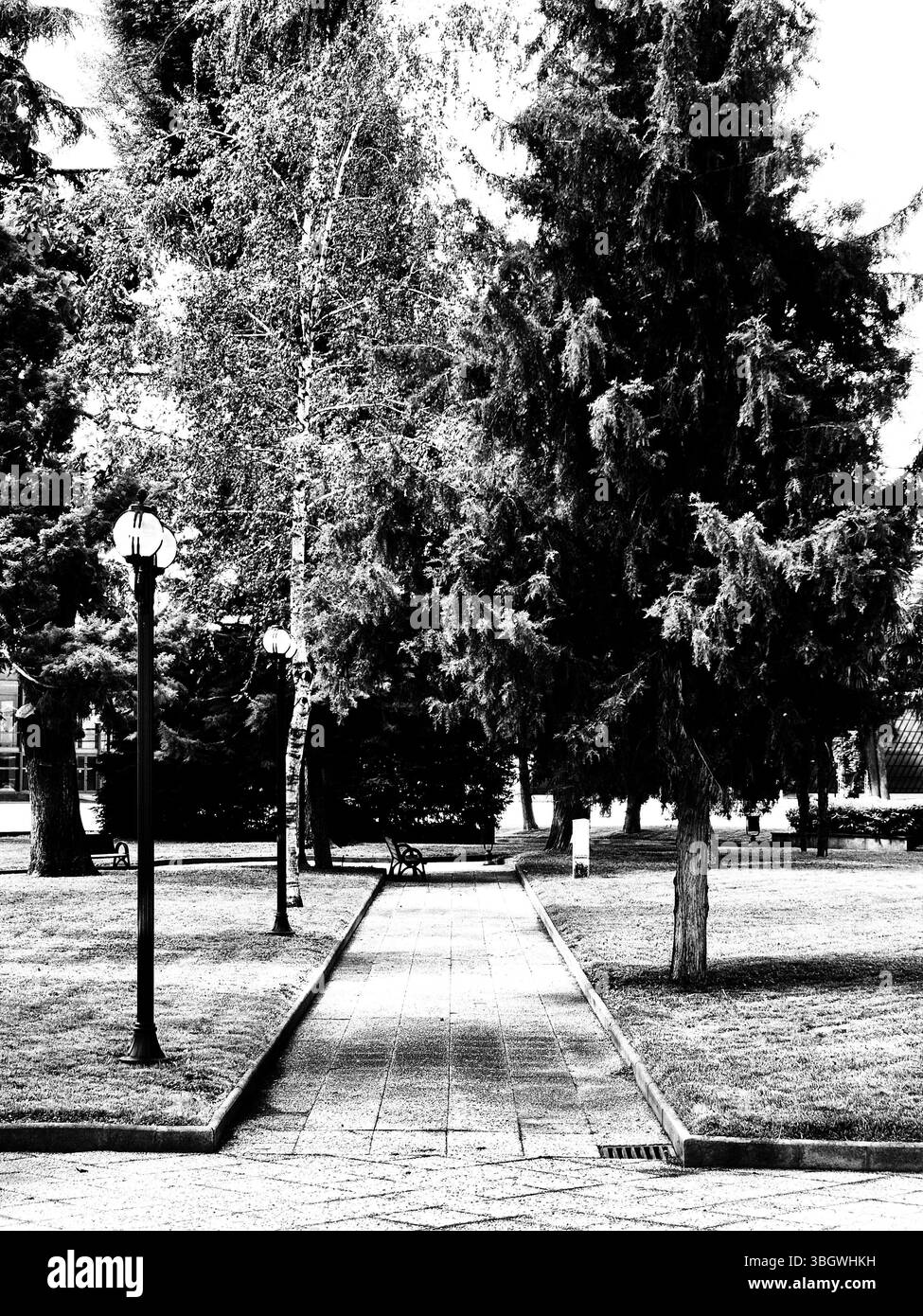 Photo noir et blanc de beau paysage dans le parc. Banque D'Images