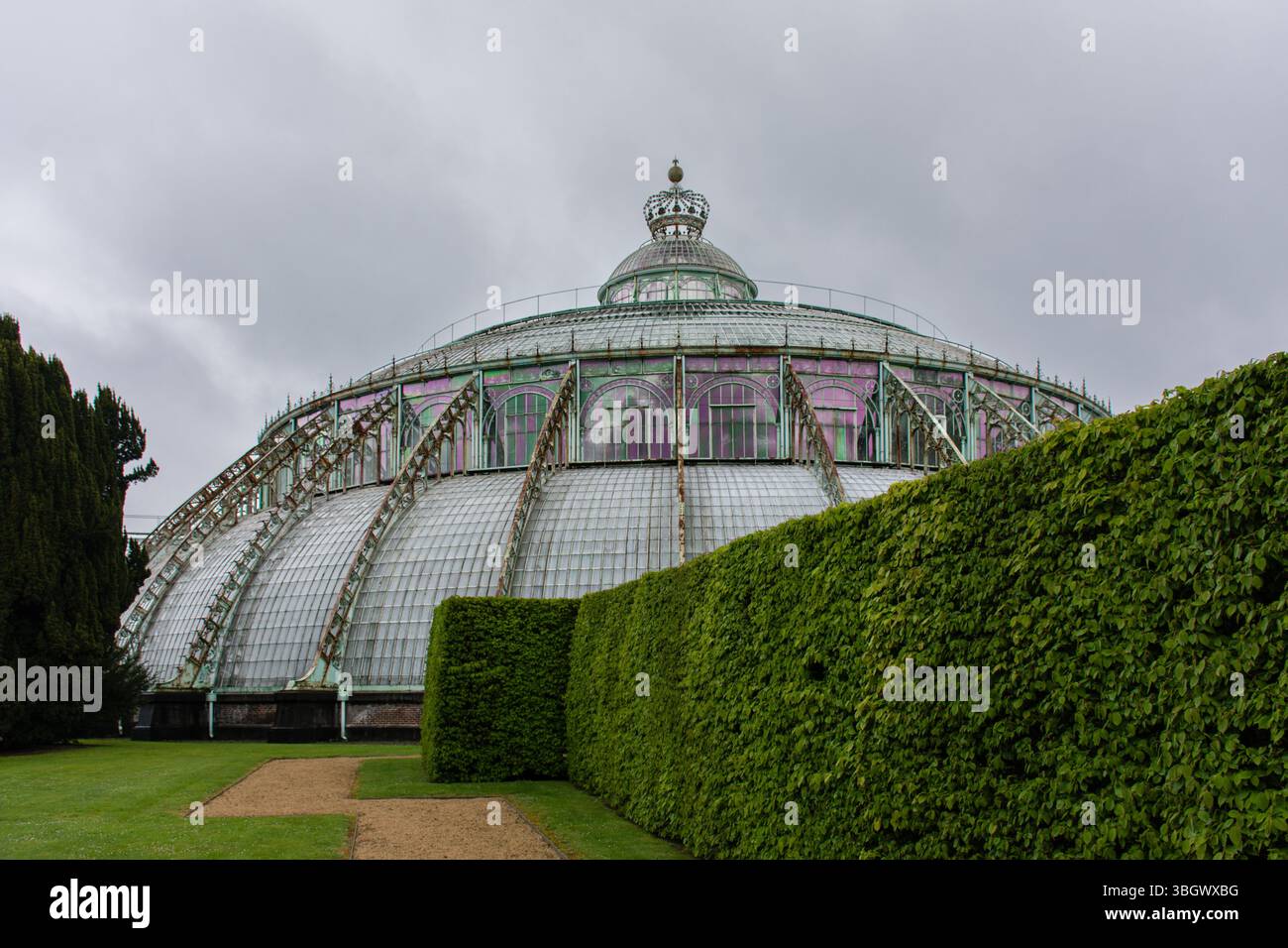 Plan extérieur de niveau intermédiaire des serres royales de Laeken, Belgique avec une haie verte Banque D'Images