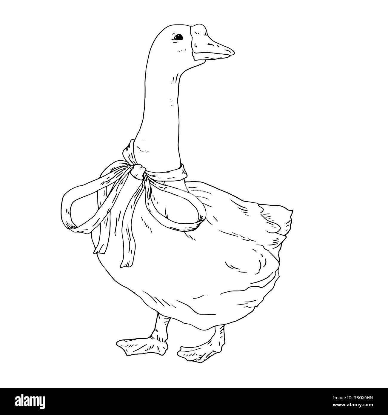 Une oie blanche avec un bel arc autour du cou, un croquis à l'encre noire et blanche. Illustration vectorielle. Oiseau de ferme mignon, isolé sur un backgro blanc Illustration de Vecteur