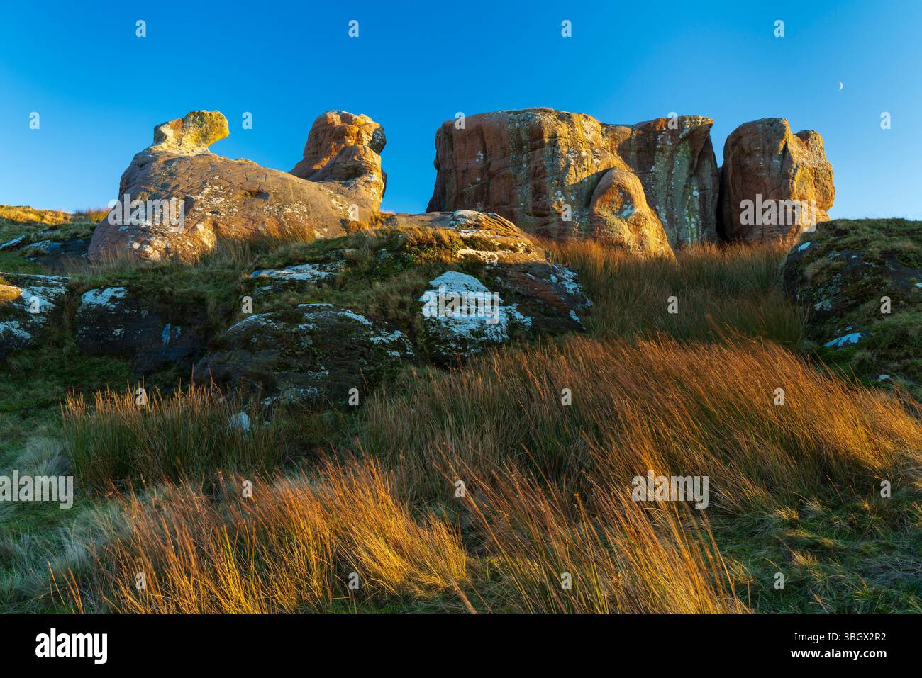 Angleterre, Northumberland, Caller Crag & Boulders. La lumière de la fin de l'après-midi illumine les caractéristiques de grès de Caller Crag & Boulders. Banque D'Images
